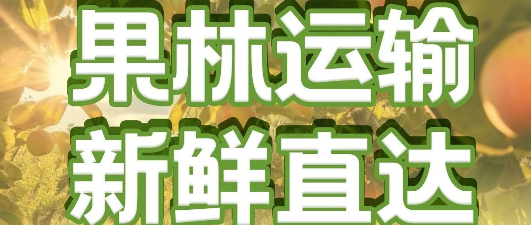 淮海果园车果林运输新鲜直达